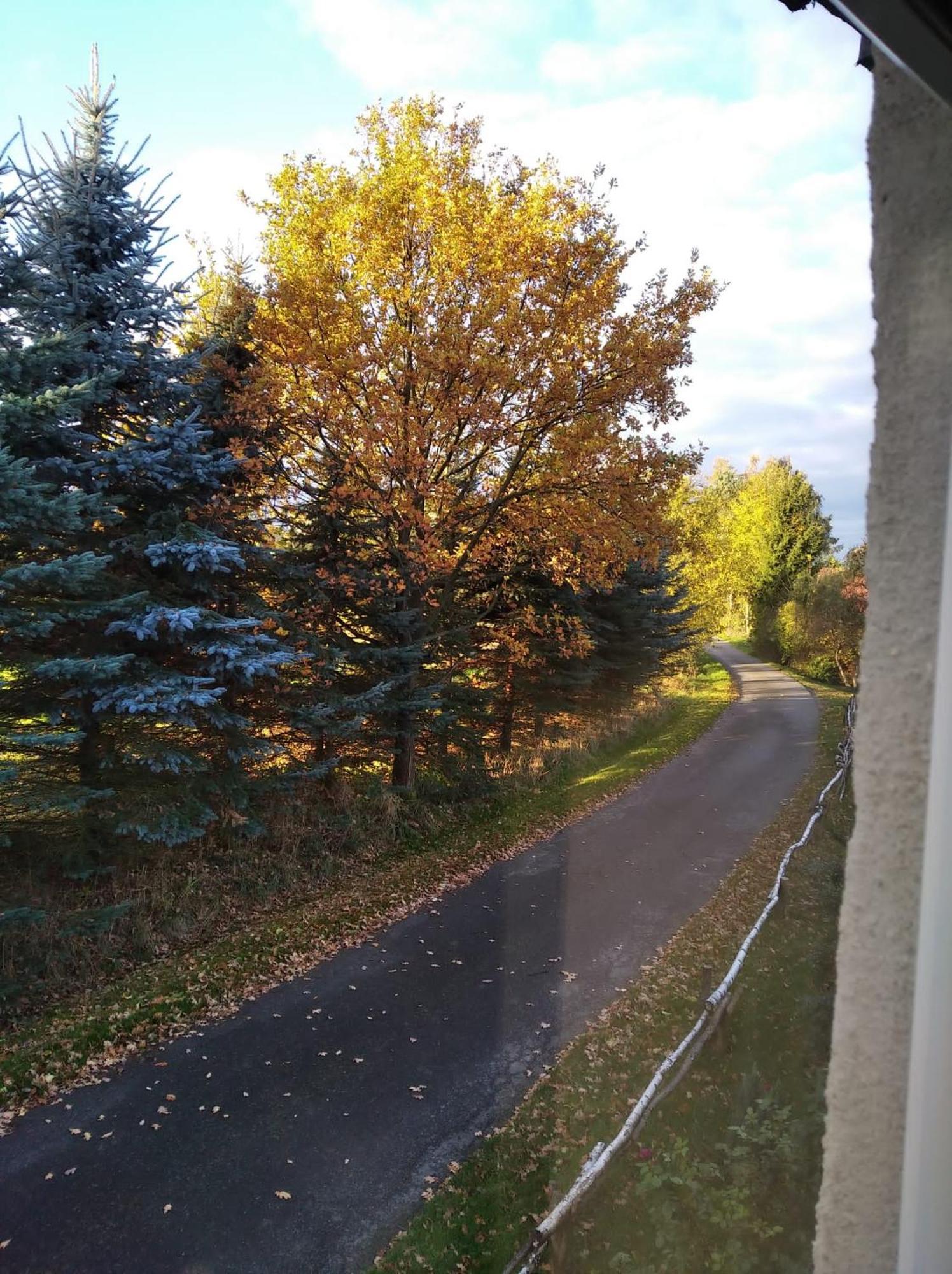 Roze I Jablonie Agroturystyka Gryfów Śląski Exteriör bild