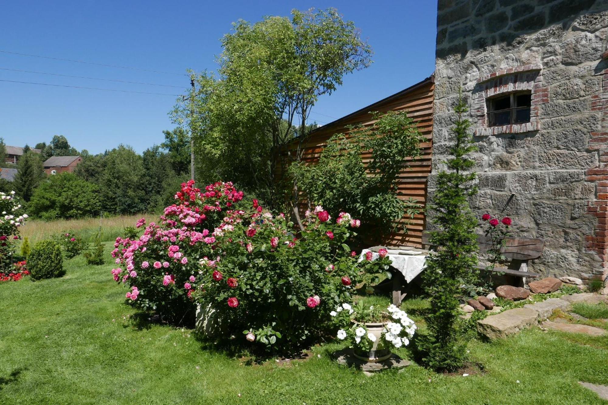 Roze I Jablonie Agroturystyka Gryfów Śląski Exteriör bild